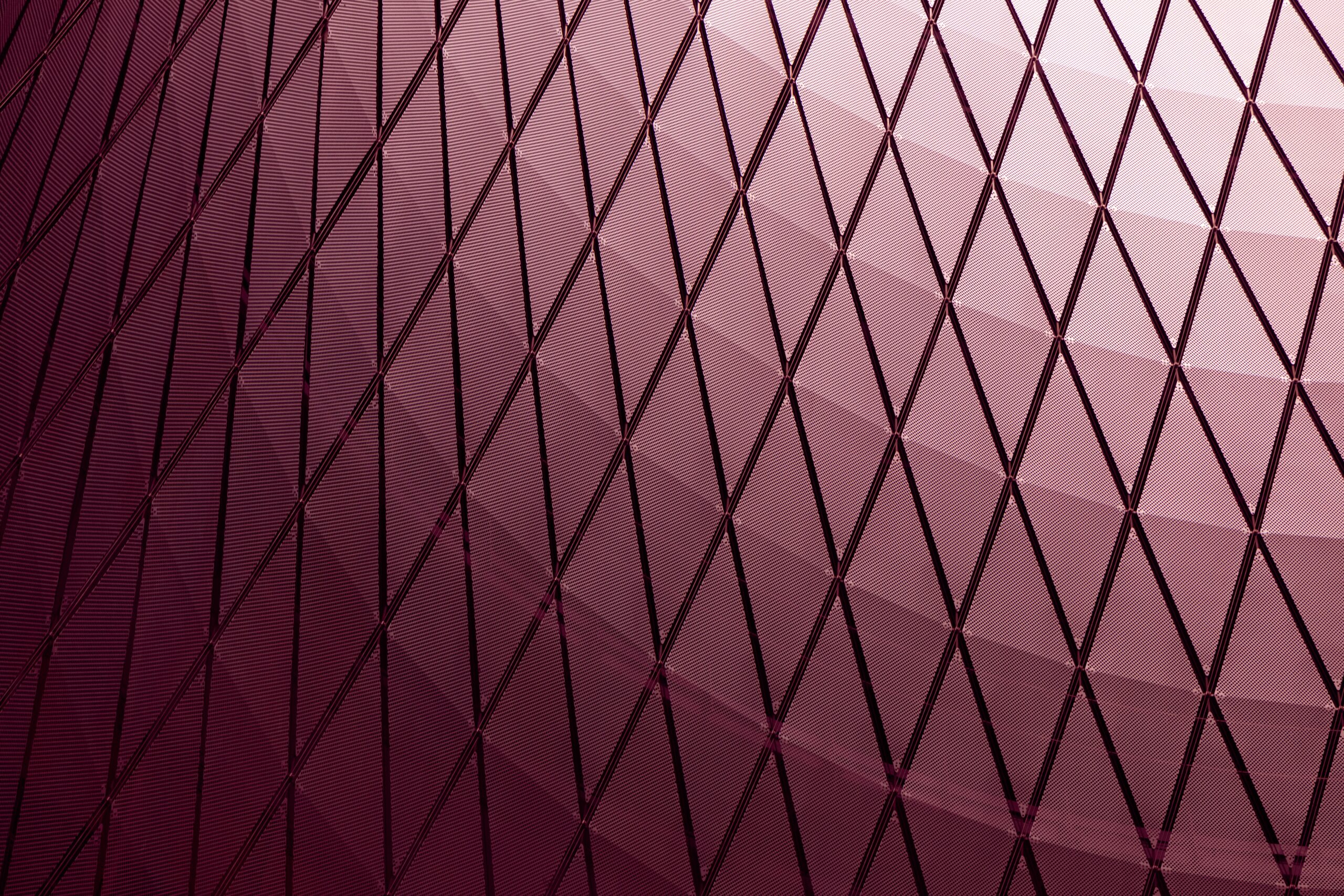 purple building purple building